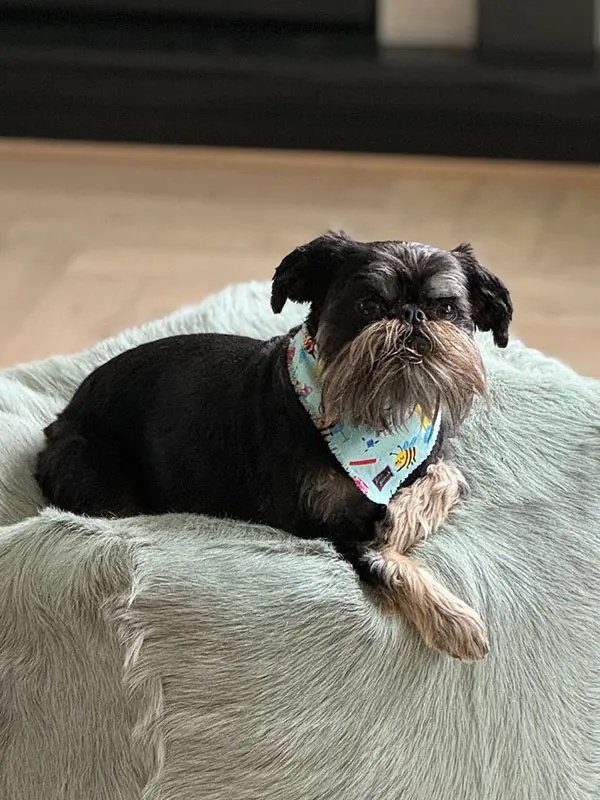 Marcel-Portrait-web Marcel